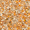 004436_premium-vandenabeele.jpg Beyers Premium Vandenabeele - 20+2g