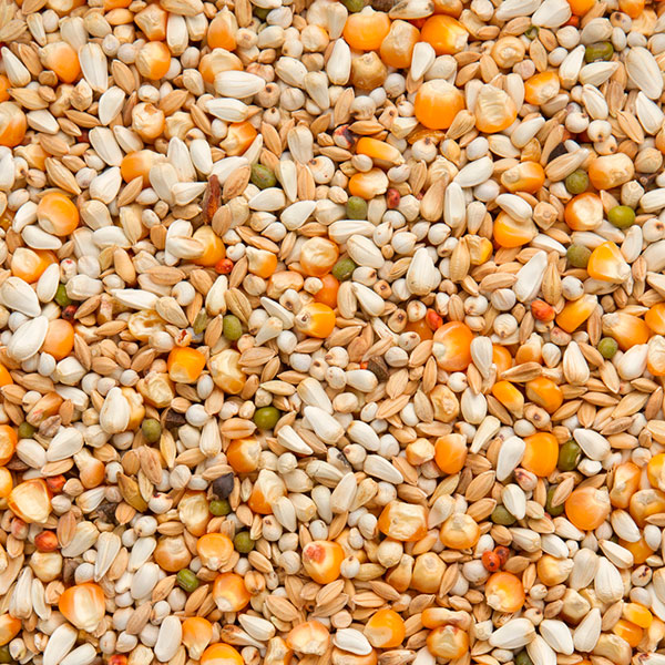 004436_premium-vandenabeele.jpg Beyers Premium Vandenabeele - 20+2g