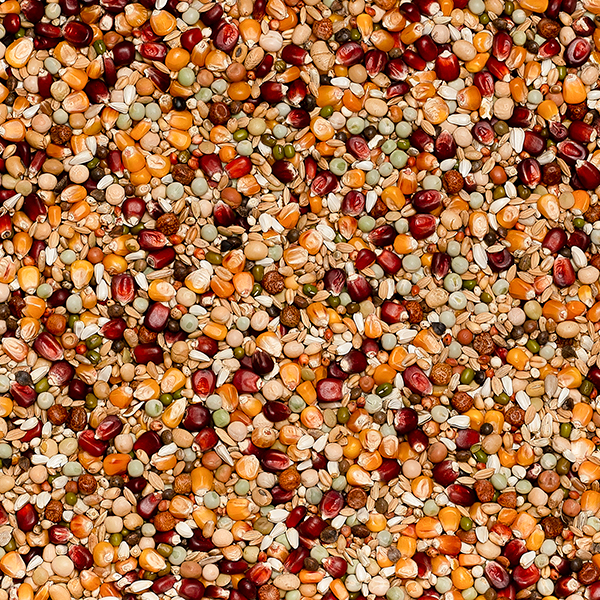 004530_Premium-Jelle-Jellema.jpg Beyers Premium Jelle Jellema - 20kg