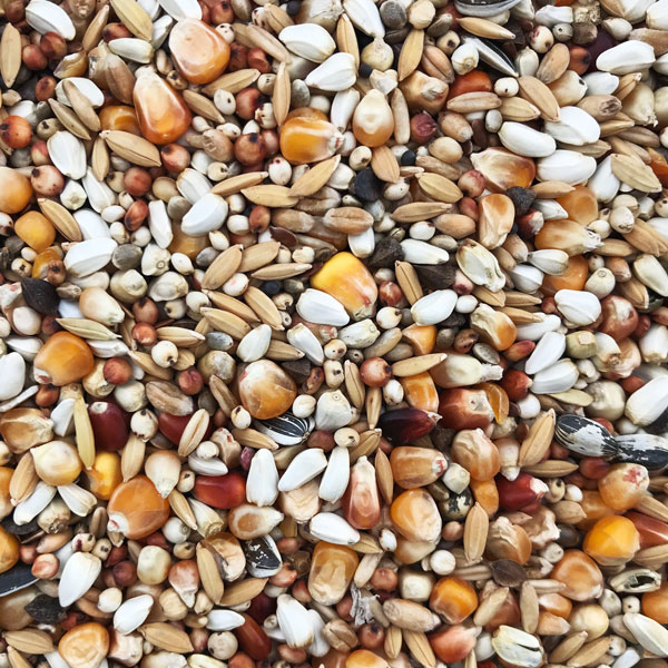 Animi’s Borsó Mentes Verseny Magkeverék – 20kg