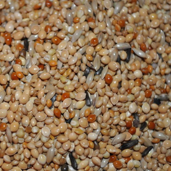 Versele-Laga Tropical Finches Trópusi Pinty - 20kg