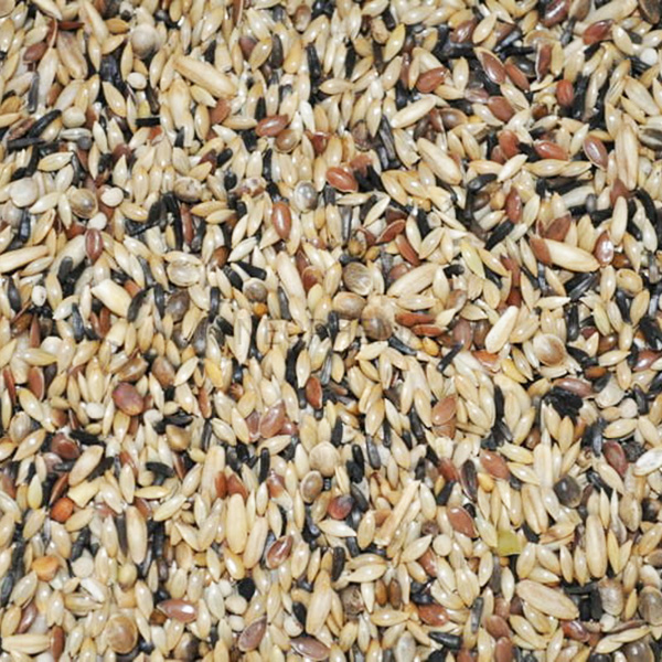 Versele-Laga Prestige Canary Breeding Repcementes - 20 kg