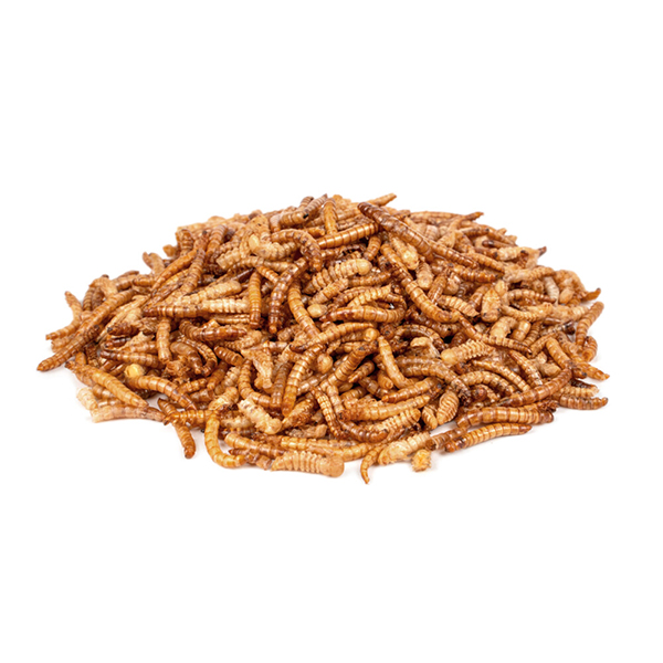 Deli Nature Chix Meelwormen Szárított Lisztkukac - 500g
