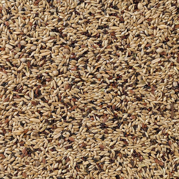 14ffa4fc3ff925f502aeda2f0b2ca14066a815c5.jpg Deli Nature 55 Kanaries Supreme - 20kg