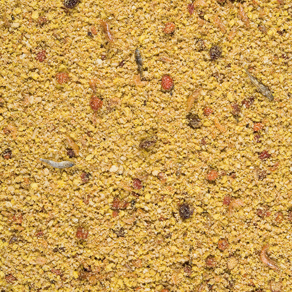 424027_2.jpg Versele-Laga NutriBird Gold Patee Parakeets & Parrots - 5kg