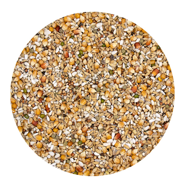 Versele-Laga Gerry Plus I.C. PROMO - 20+2kg