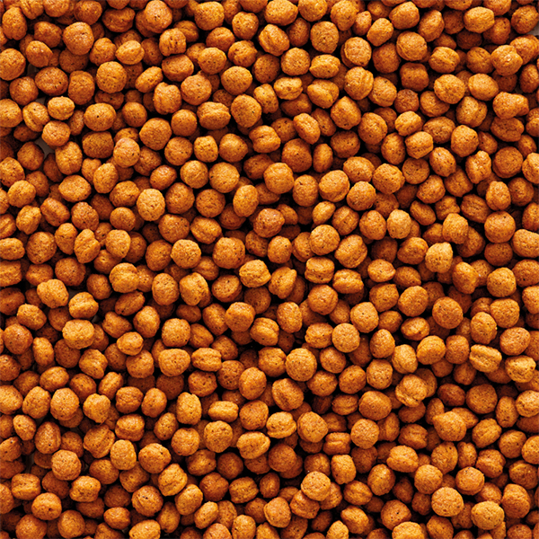 Versele-Laga T16 Pellet Nagytestű Gyümölcsevő és Rovarevő Madaraknak - 700g