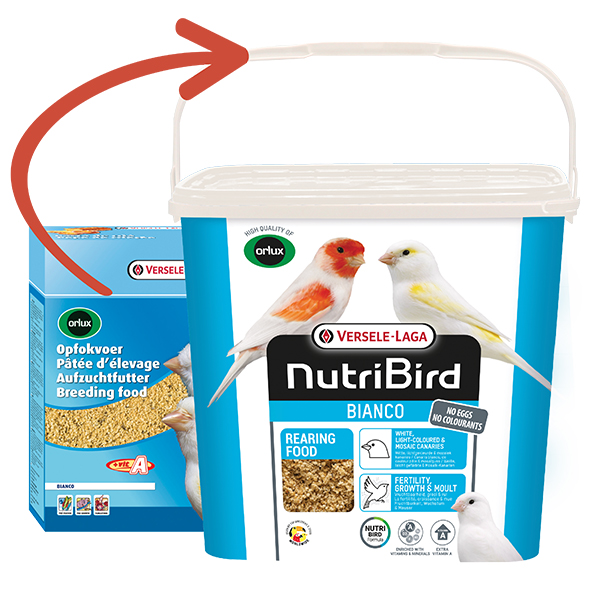 Versele-Laga NutriBird Breedingfood Bianco - Lágyeleség Fehér Kanáriknak - 4kg