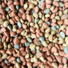 65482-1_all-pet-multiextra-extrudovane-5kg-vedro.jpg All Pet Multi Extra Gyümölcsös Tenyészpellet - 5kg
