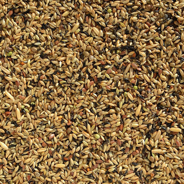 Deli Nature 80 Repcementes Kanári Tenyész – 5kg