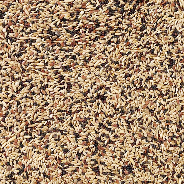 Deli Nature 53 Kanári Extra - 20kg