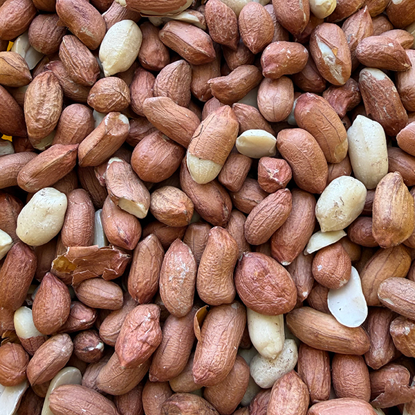 Földimogyoró Lédig (Hártyás) - 1kg