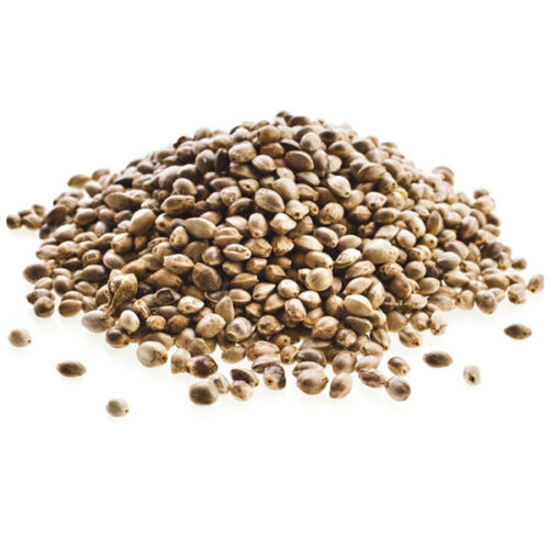 Kendermag - 1kg