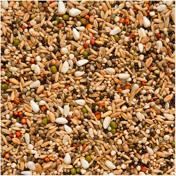 Beyers Trapping Mix - 2,5kg