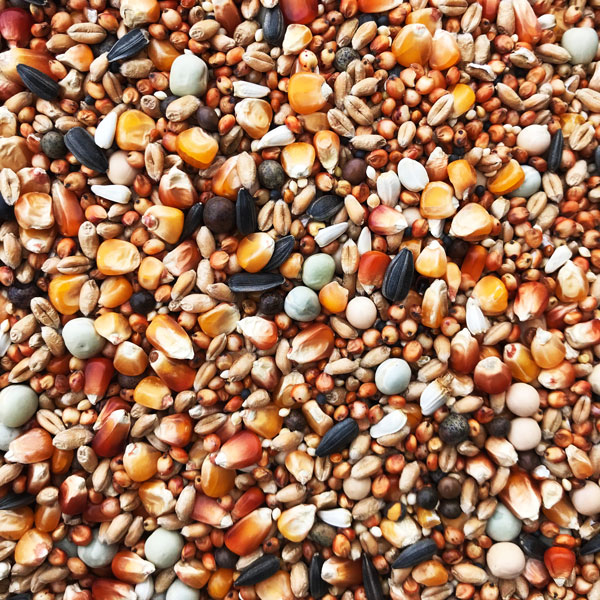 Plusz-Alap.jpg Animi’s Plusz Alap Magkeverék – 20kg