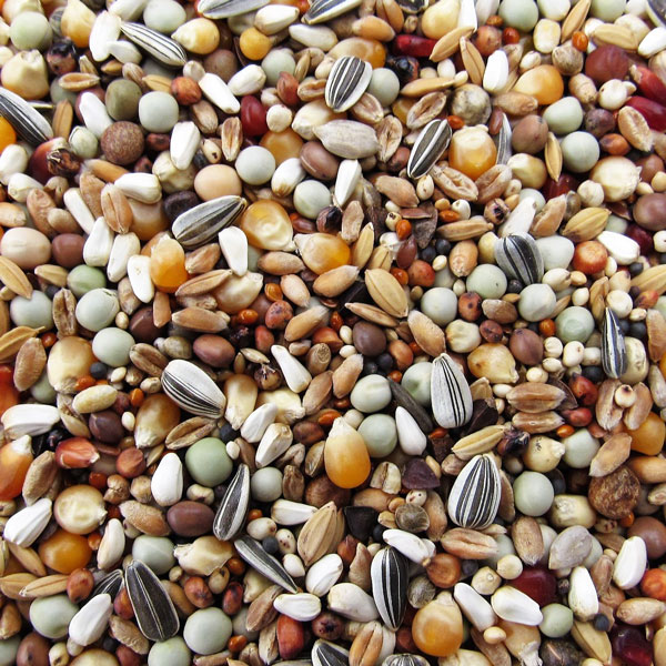 Animi’s Szuper Rövidcsőrű Magkeverék – 20kg