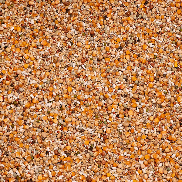 Beyers Premium Super Weduwschap (Özvegy) - 20kg