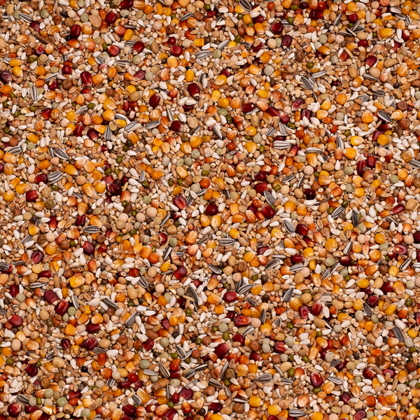Zaad_004563-Galaxy-Long-Distance-TT-scaled-1.jpg Beyers Galaxy Long Distance TT - 20 kg