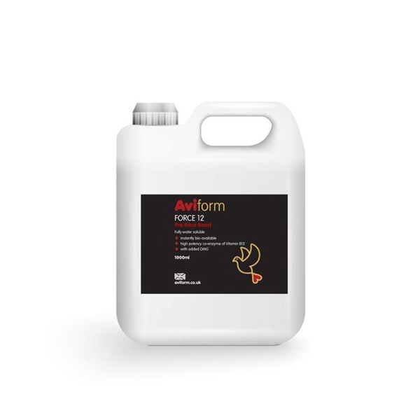 aviform-pigeon-force-12-dmg-1000ml.jpg Aviform Force 12 + DMG - 1000ml