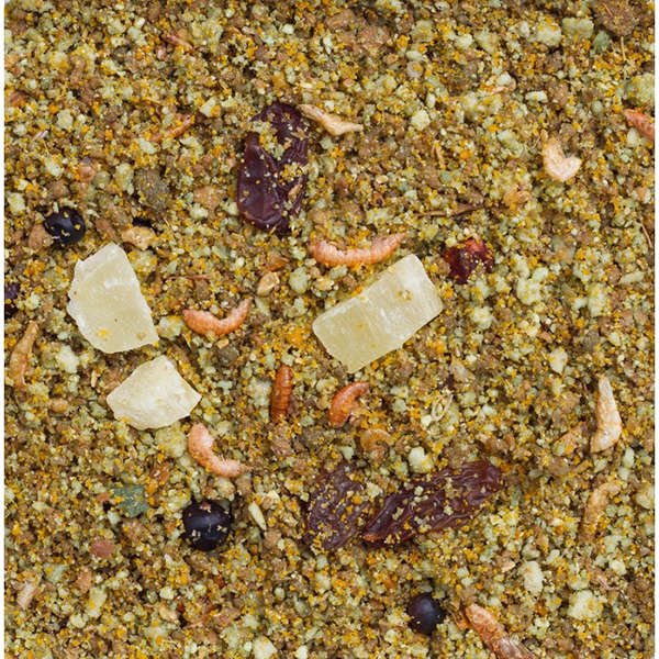deli-nature-fruit-pate-10kg-1.png Deli Nature Fruit Paté - 10kg