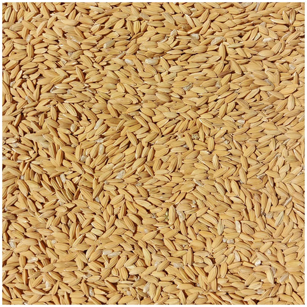 hantolatlan_rizs_01.jpg Hántolatlan Rizs - 5kg