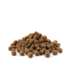 Versele-Laga Opti Life Adult Digestion Mini Bárány Rizzsel - 2,5kg