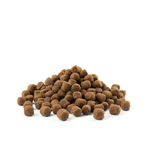 Versele-Laga Opti Life Adult Digestion Mini Bárány Rizzsel - 2,5kg