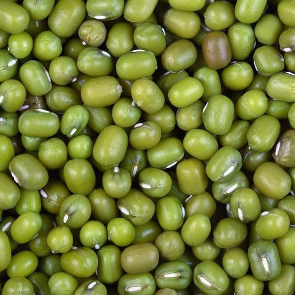 Mungóbab - 1kg
