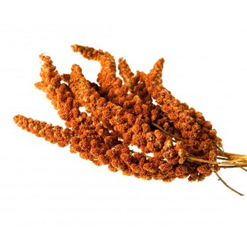 Vörös Fürtös Köles - 15kg